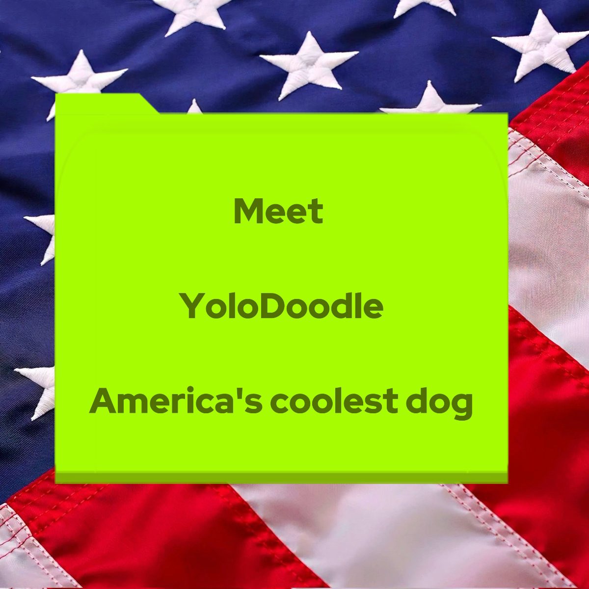 YoloDoodle tweet media