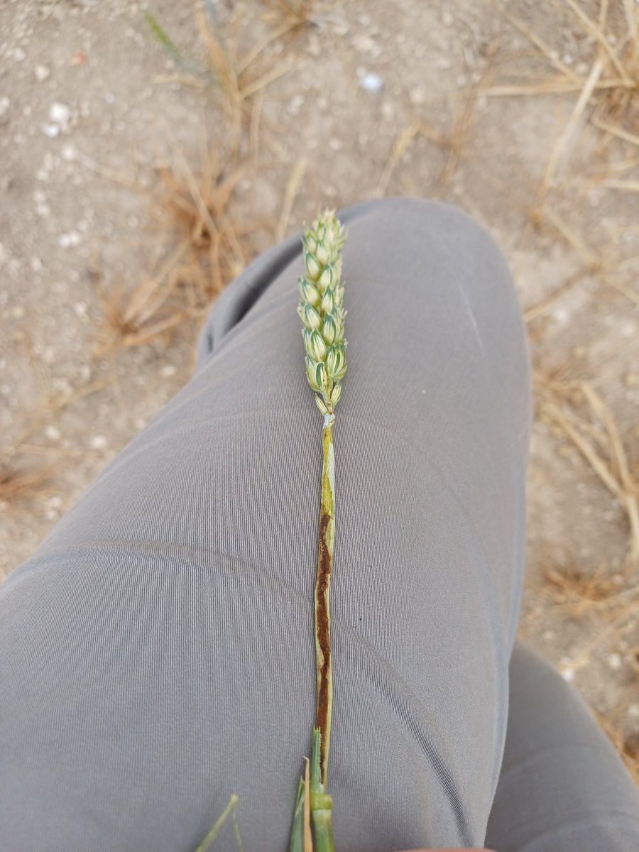 Colin Patrick tweet media