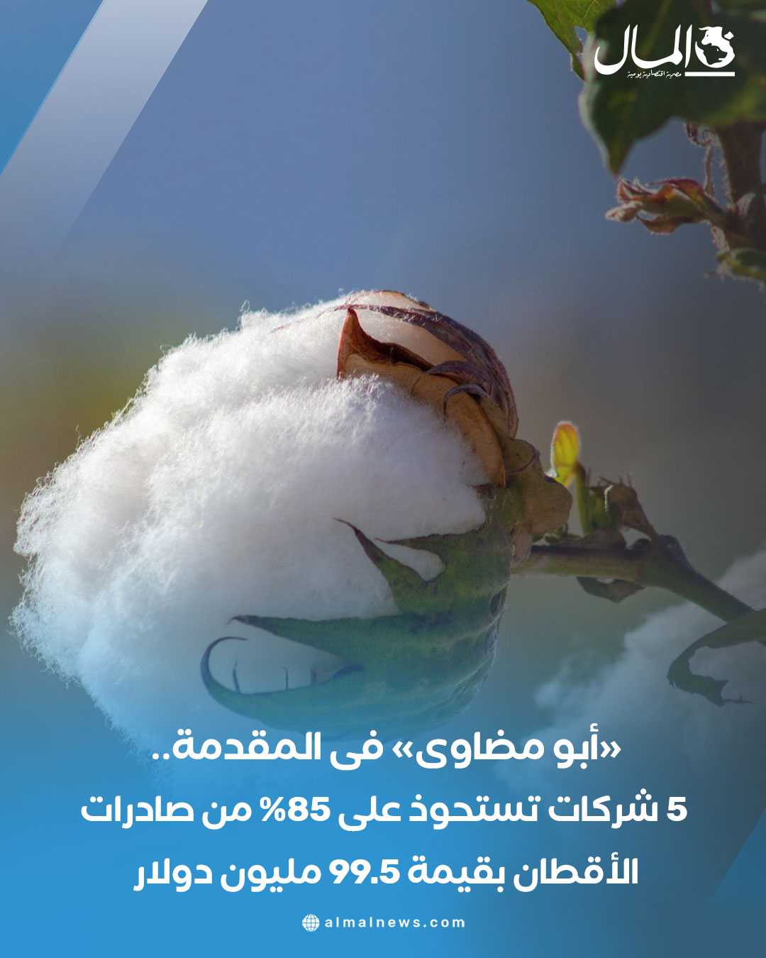 5 شركات تستحوذ على 85% من صادرات الأقطان بقيمة 99.5 مليون دولار. للتفاصيل 