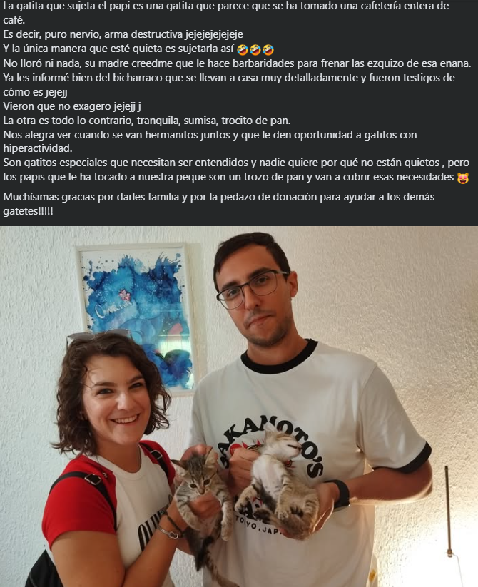 RinconNekomiau's tweet photo. HERMANITAS ADOPTADAS!!!!!
¿QUIERES AUMENTAR LA FAMILIA? NUESTROS PEQUES OS ESPERA!!!
MEJOR 2 QUE UNO!!!!!! https://t.co/aTxsXMCmle