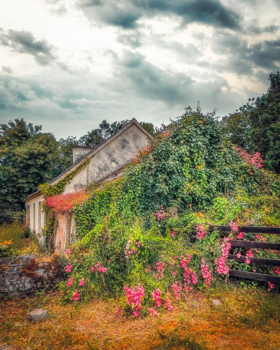 GM and Happy Saturday!