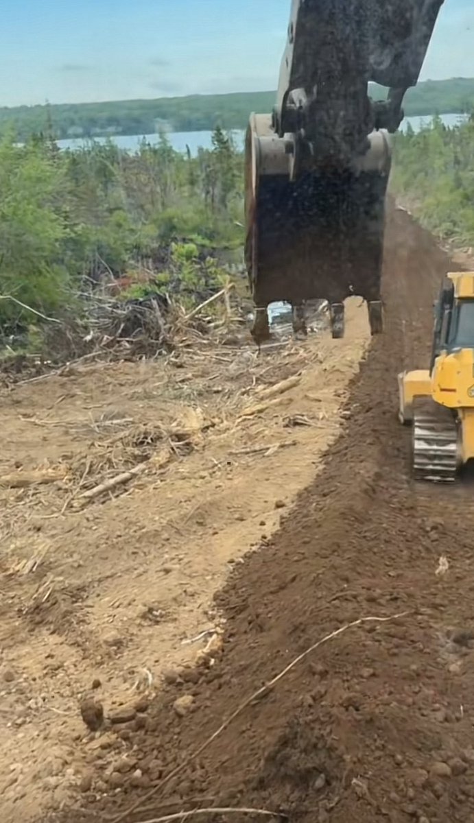 Sheldon Greene (@budywiththeplow) on Twitter photo 