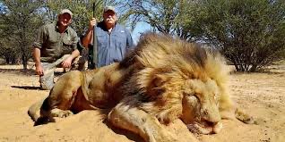 Joanne Smith (@enviroconjo) on Twitter photo If you are under any doubt about why you should ban import of #hunting trophies, <a href="/Keir_Starmer/">Keir Starmer</a>, listen to <a href="/Iankhama/">Ian Khama</a> on <a href="/TimesRadio/">Times Radio</a> coming up now. If you are under any doubt about why you should ban import of #hunting trophies, <a href="/Keir_Starmer/">Keir Starmer</a>, listen to <a href="/Iankhama/">Ian Khama</a> on <a href="/TimesRadio/">Times Radio</a> coming up now.