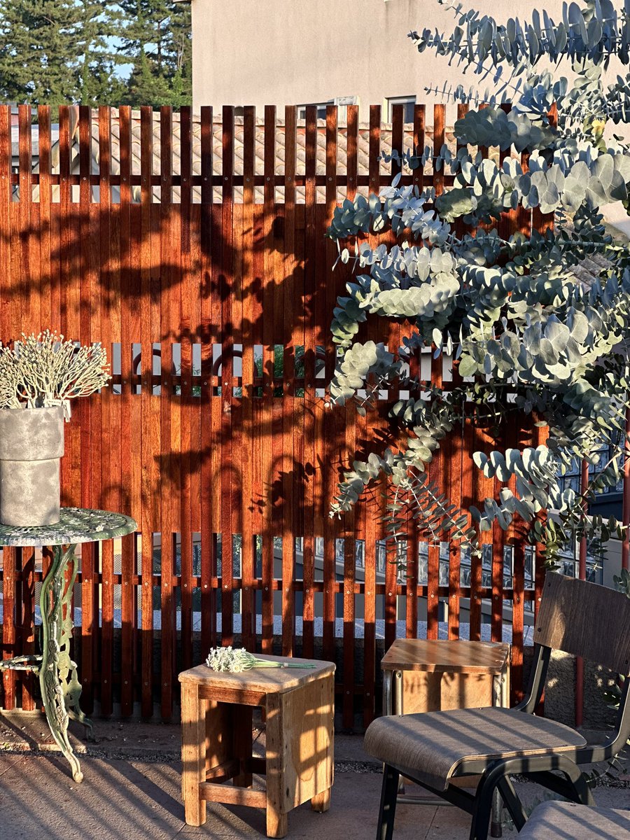 책방 이층 테라스 유칼립투스는 참 멋지다. 오늘 나무 가림막도 설치했다. 테라스도 조금씩 꾸며봐야지.