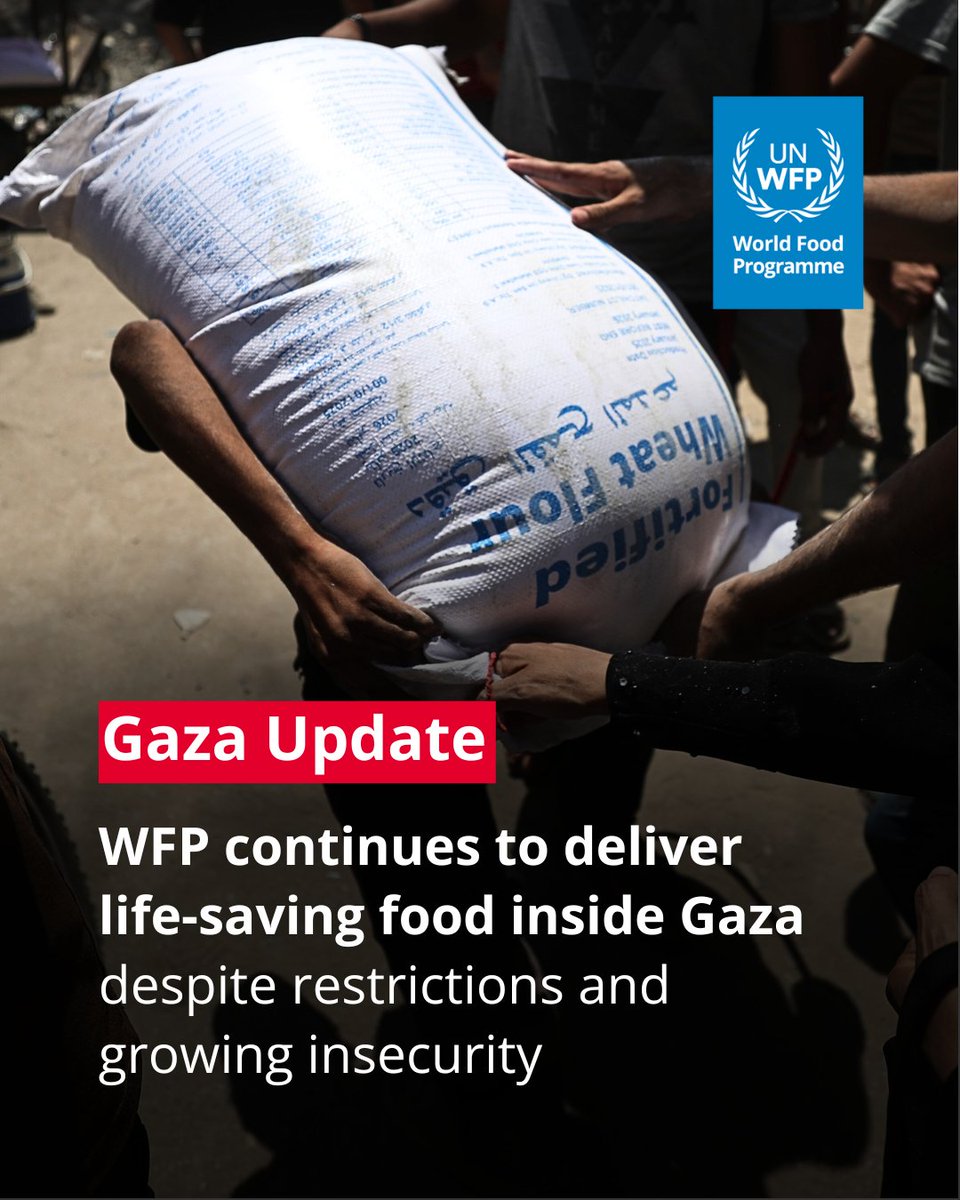 #Gaza: A recent assessment shows nearly 1 in 3 people is not eating for days at a time, placing more people at risk of starvation.

Here are the latest updates on food insecurity and WFP operations in Gaza: bit.ly/4loMMu0