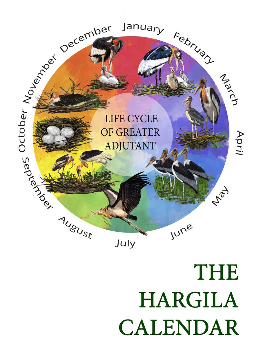 The Hargila Calendar! Please meet our Hargila and our women  accordingly!