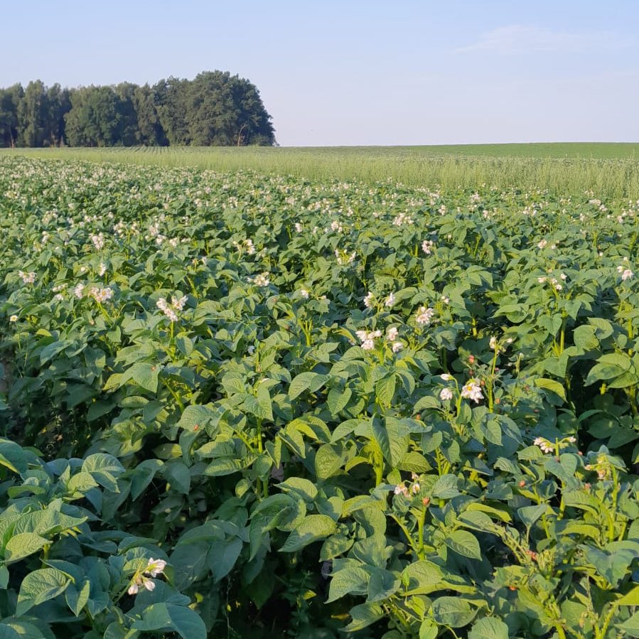 #Duerre Livebericht aus der Zone des roten Todes.
Wir werden alle sterben!