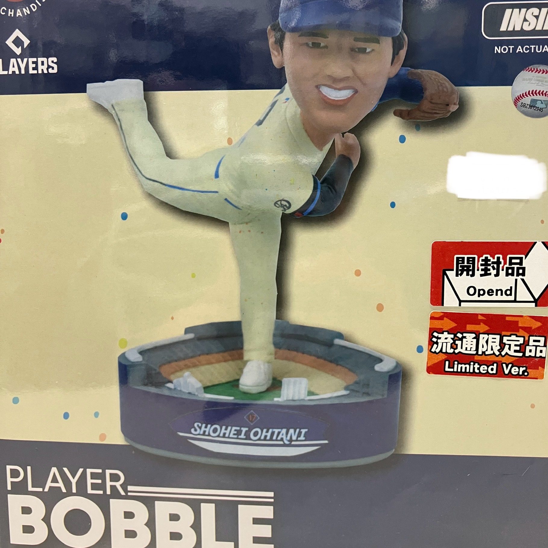 大谷翔平 来場者限定キャンプ、パンフ