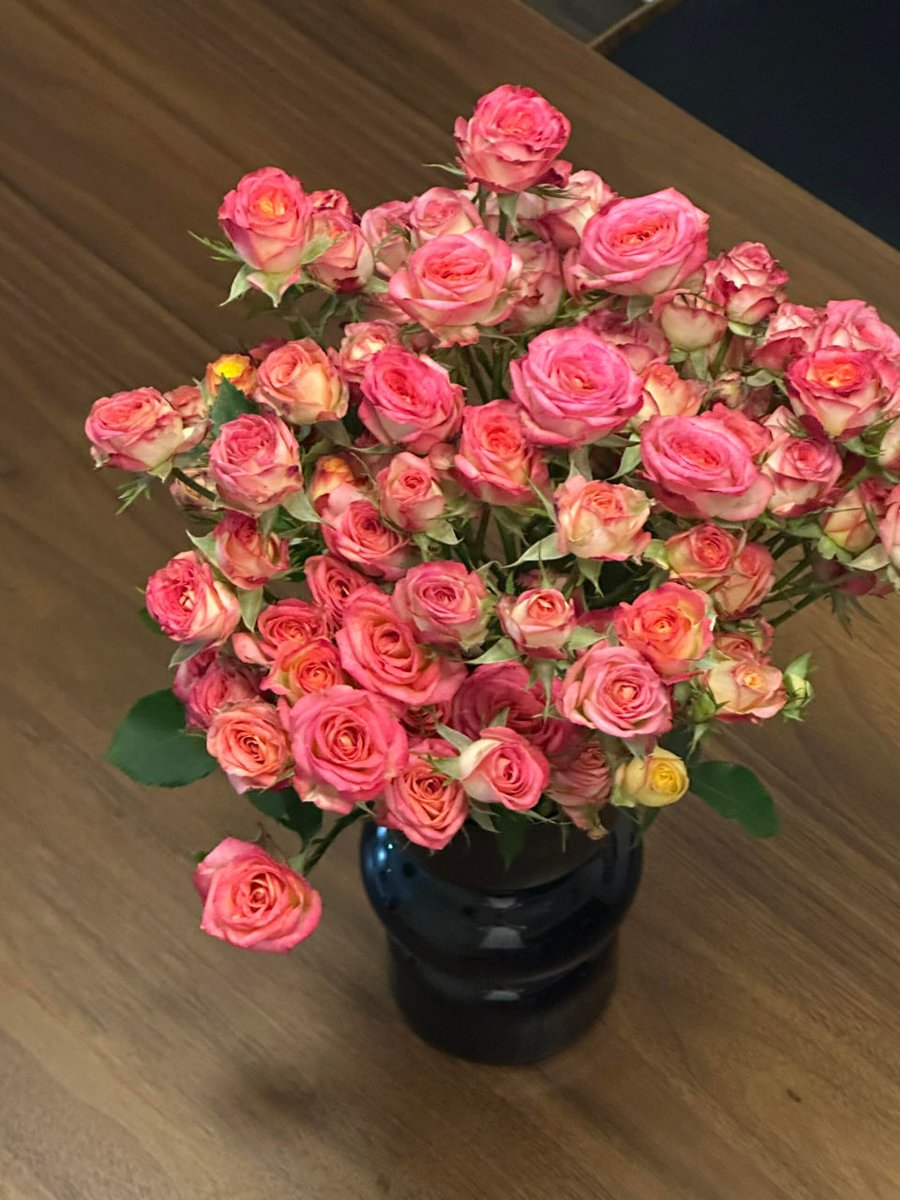 Angela53311517's tweet photo. 今日の幸せは🌹この15ドルの花束からもらったの💕🌈 https://t.co/iFe21Wq4Cs