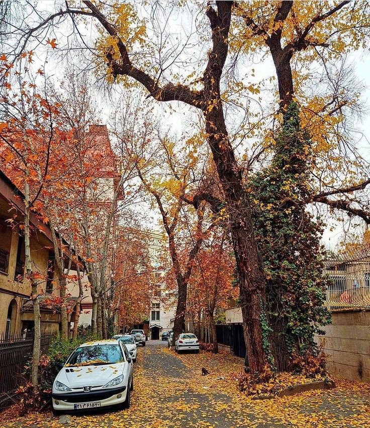 Milad417's tweet image. این عکس برای شماهم حاوی حس خوبه؟