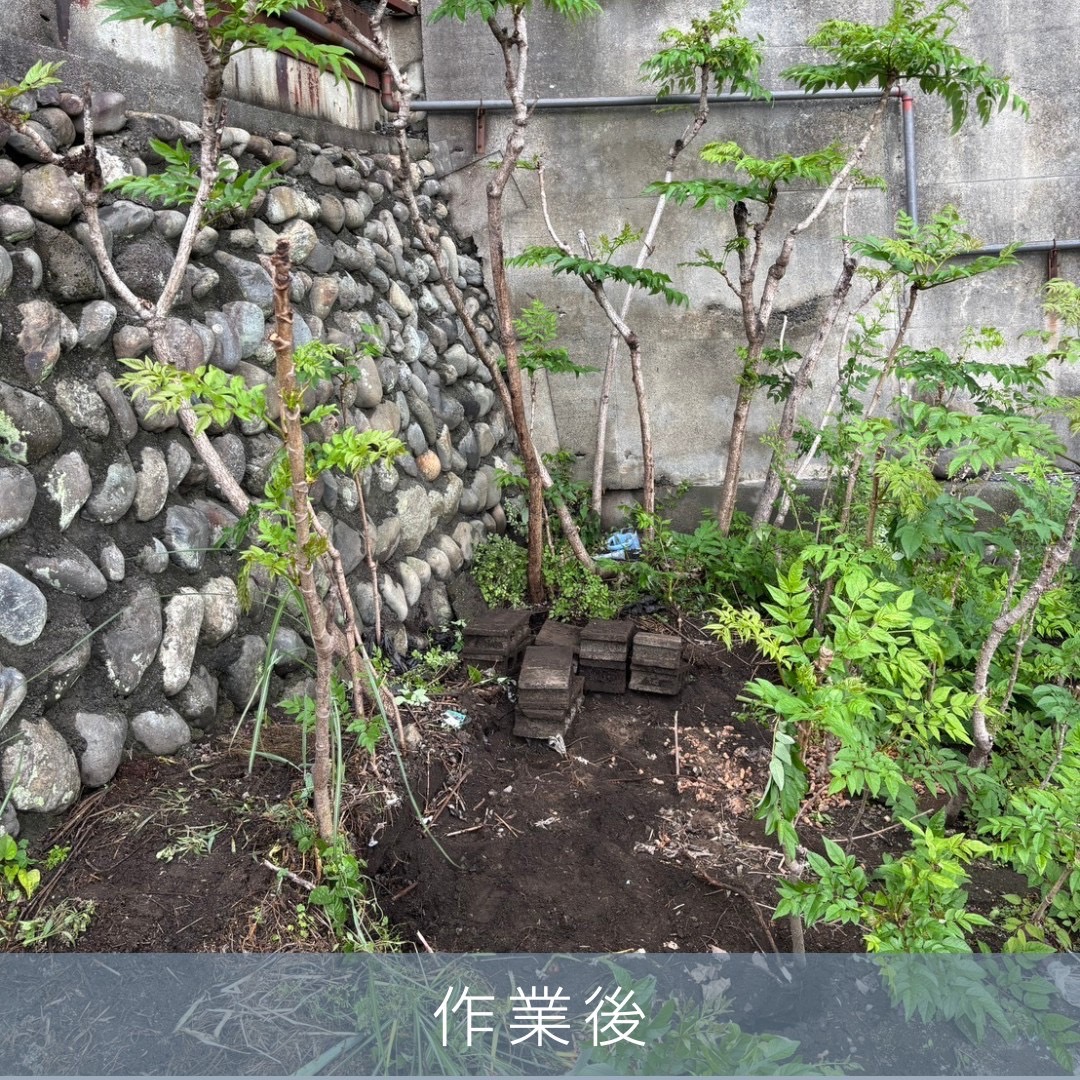 PLUS_WORKS's tweet photo. ホームページをご覧になった富士市のお客様からのご依頼
電源を取れ無い場所での物置の解体撤去、その他不用品回収
無事、作業終了
広い畑の中で搬出が大変でした。。
満足いただけたようで何よりです。
＃富士市
＃不用品回収
＃物置解体撤去
＃便利屋 https://t.co/36U04Kcyy5