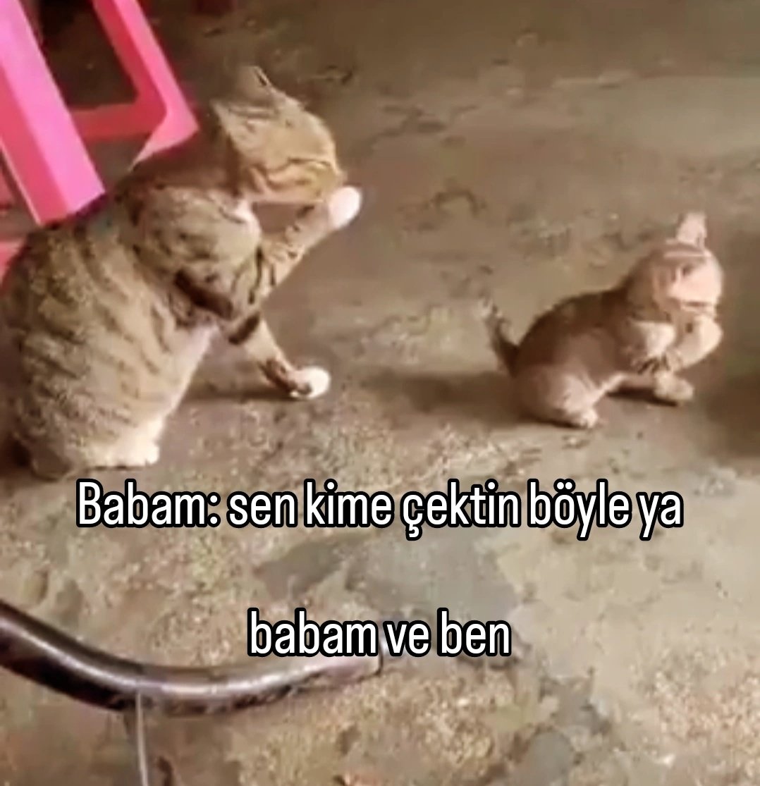 ANLIK (@anlikmod) on Twitter photo 