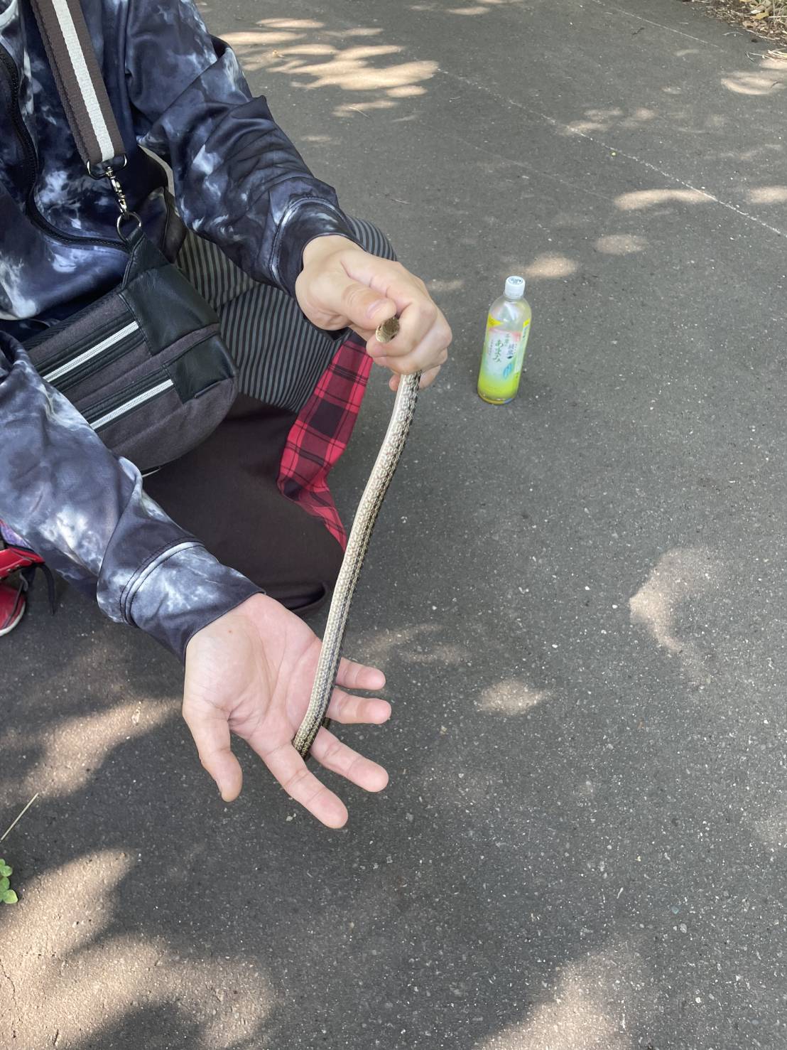 jujuたんです Juju (8899Juju@) / X