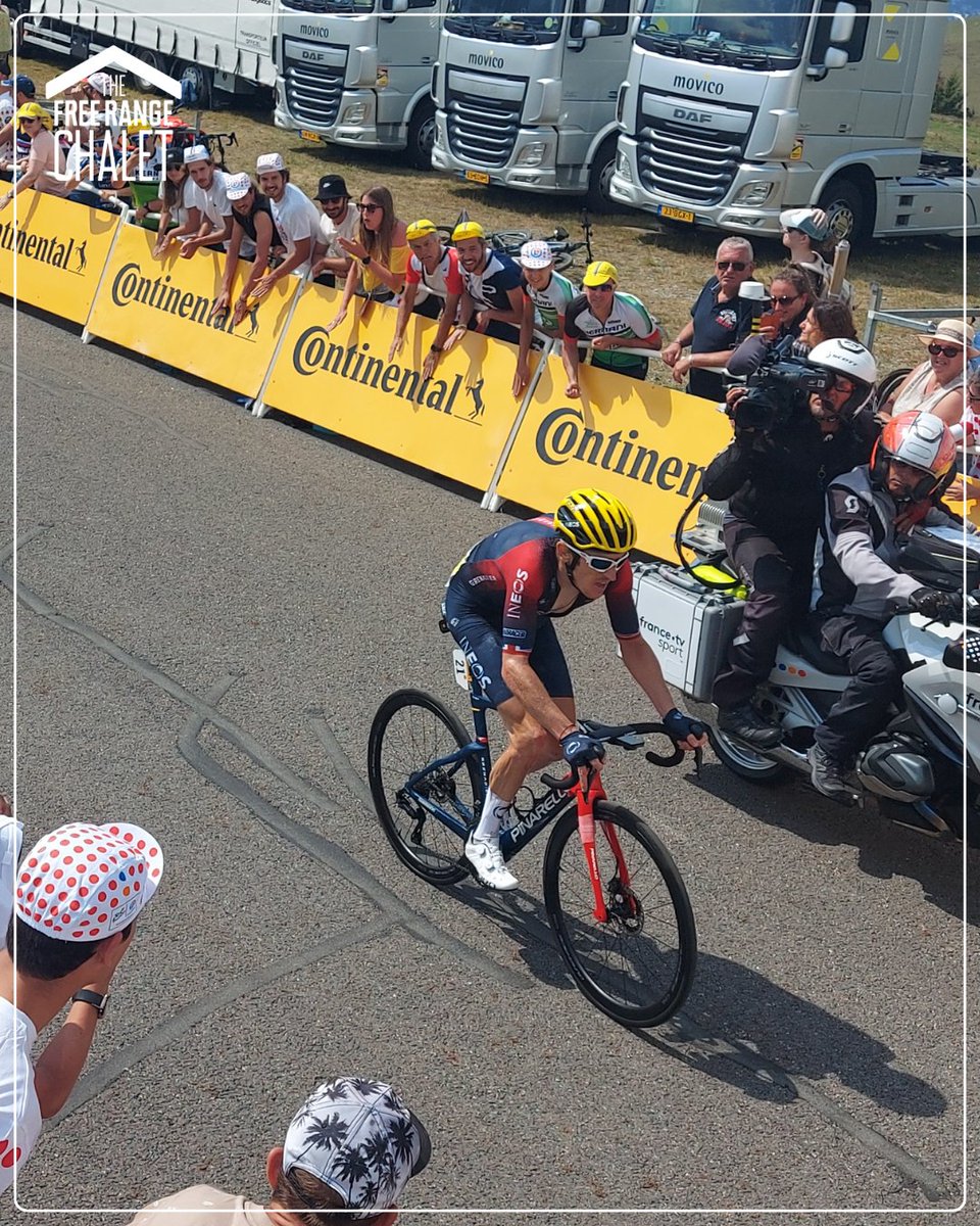 TheFreeRangeChalet tweet media