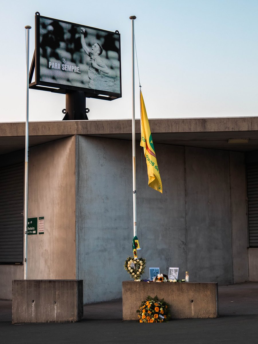 FC Paços de Ferreira tweet media