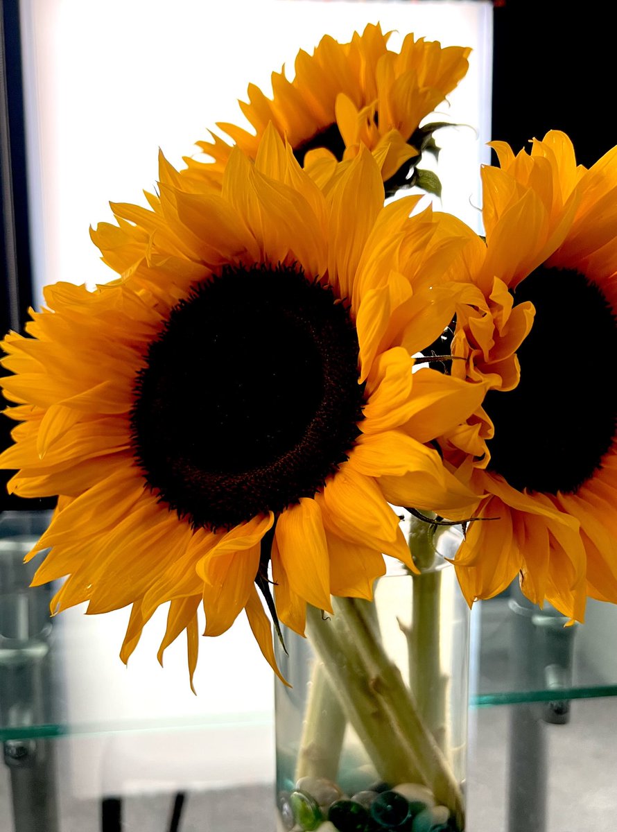 Roy Lilley 💙 tweet media