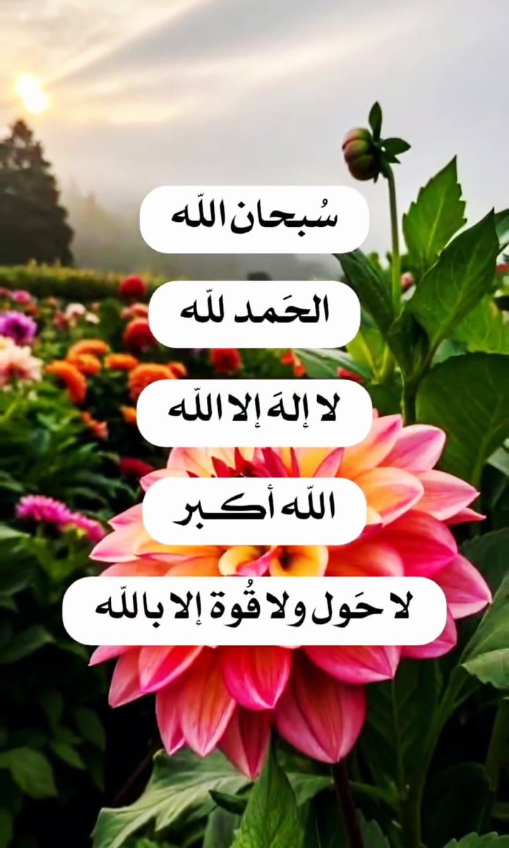 ‎ ‏﮼عيون،الغلا (@9lbbb) on Twitter photo 