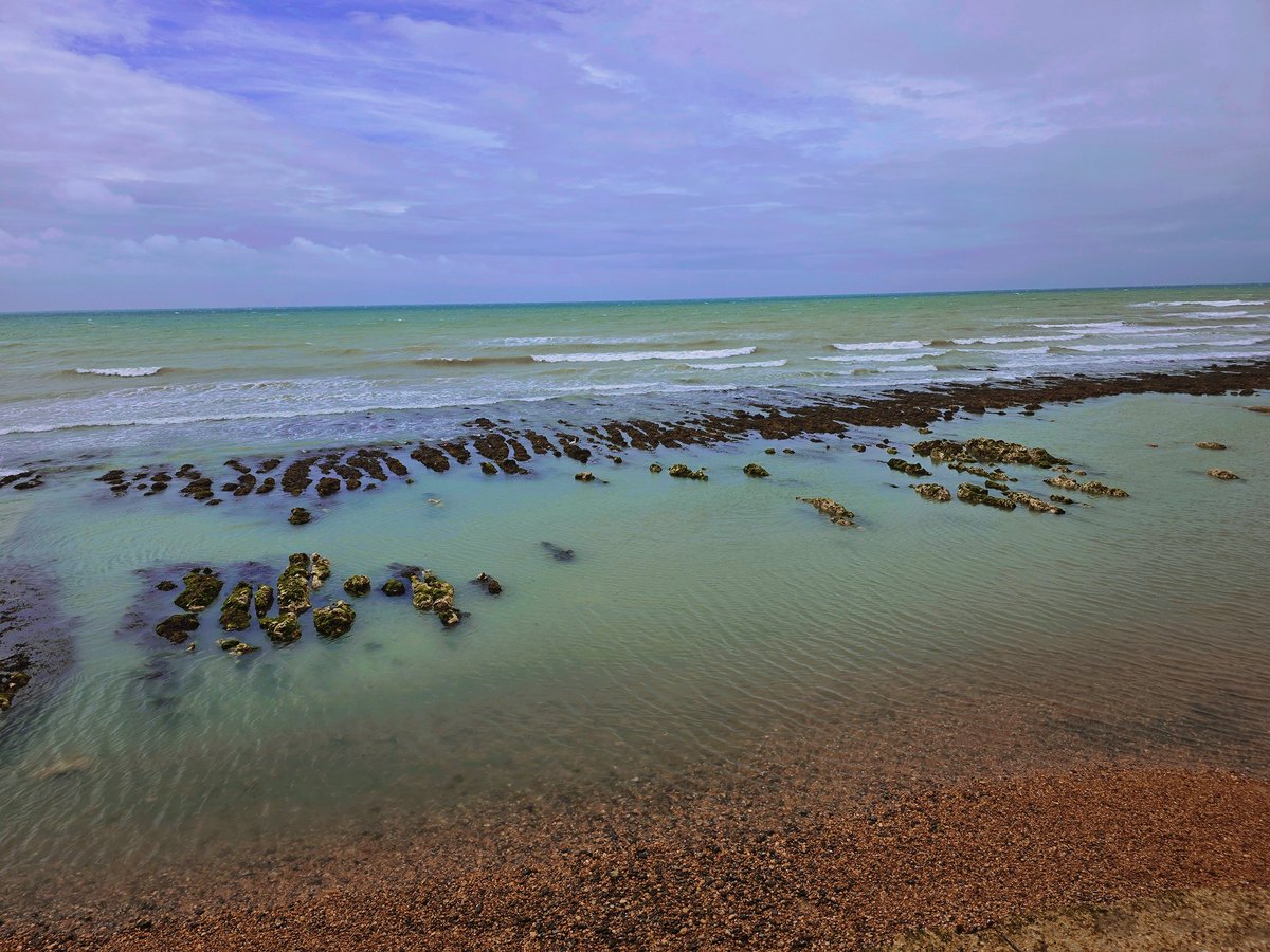 Love the blue, green and yellow today 💙💚💛