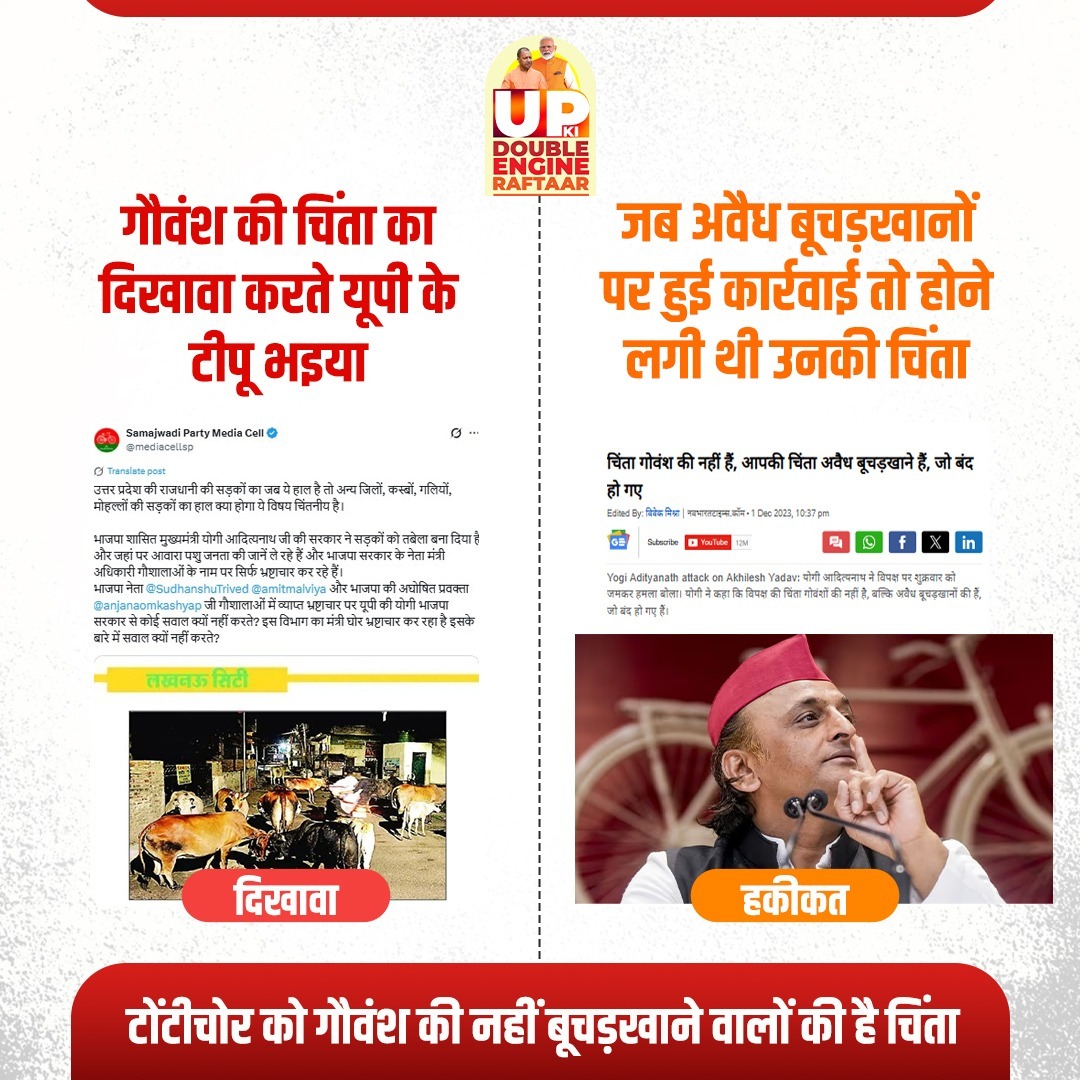टोंटीचोर को गौवंश की नहीं, बूचड़खाने बंद होने की चिंता है, एक ओर गौमाता की चिंता का दिखावा कर रहे हैं और दूसरी ओर अवैध बूचड़खानों पर कार्रवाई होते ही बेचैनी बढ़ जाती है। यही है असली समाजवादी चेहरा जहां दिखावा बहुत, नीयत खोखली। लेकिन यूपी की योगी सरकार गोवंश की सच्ची सेवा कर रही
