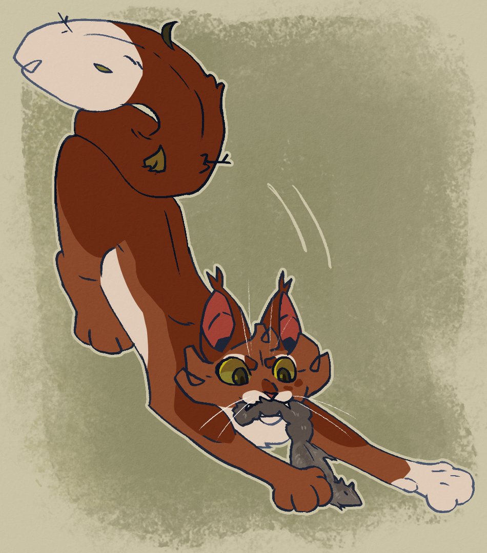 Squirrelflight!!
#warriorcats #warriorcatsart