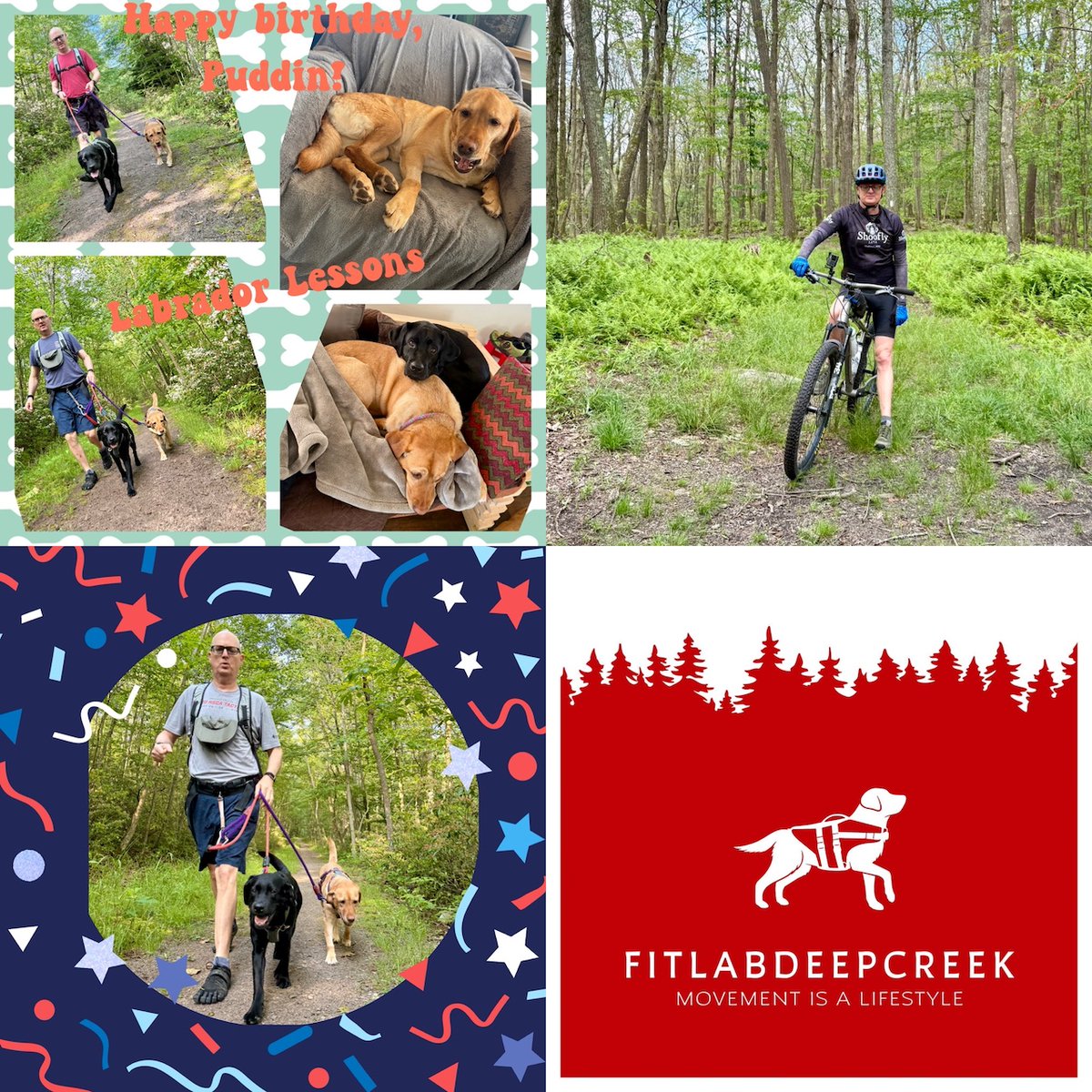 FitLabDeepCreek tweet media