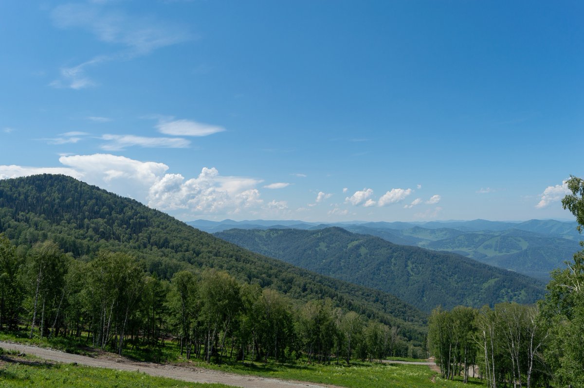 str1ve🦊 (@str1ve21) on Twitter photo 