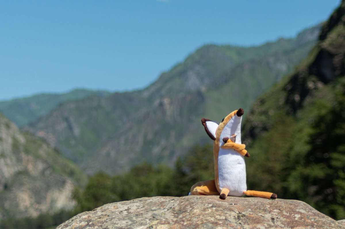 str1ve🦊 (@str1ve21) on Twitter photo 