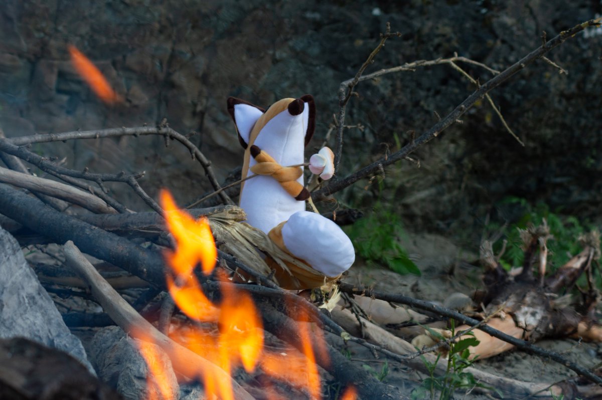 str1ve🦊 (@str1ve21) on Twitter photo 