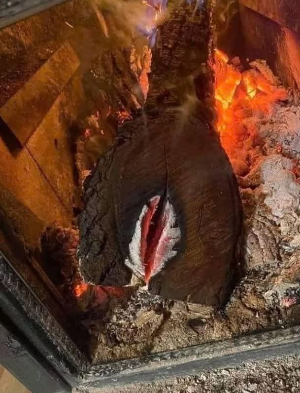 Ô hay cái này là cái gì á.