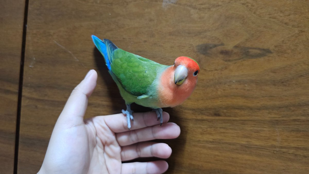 2025.07.05
쫑 일곱쨜! 아저씨다 아저씨ㅋㅋㅋ
아 날짜 익숙하네... 했는데 모 악개님 덕에 생일인 걸 알았다고 한다🙄감사해요...
한살부터 되짚어보니 점점 조성이 얼굴에 드러나는 것 같은..데? 착하거나 순둥보이게 찍히질 않아ㅋㅋㅋ