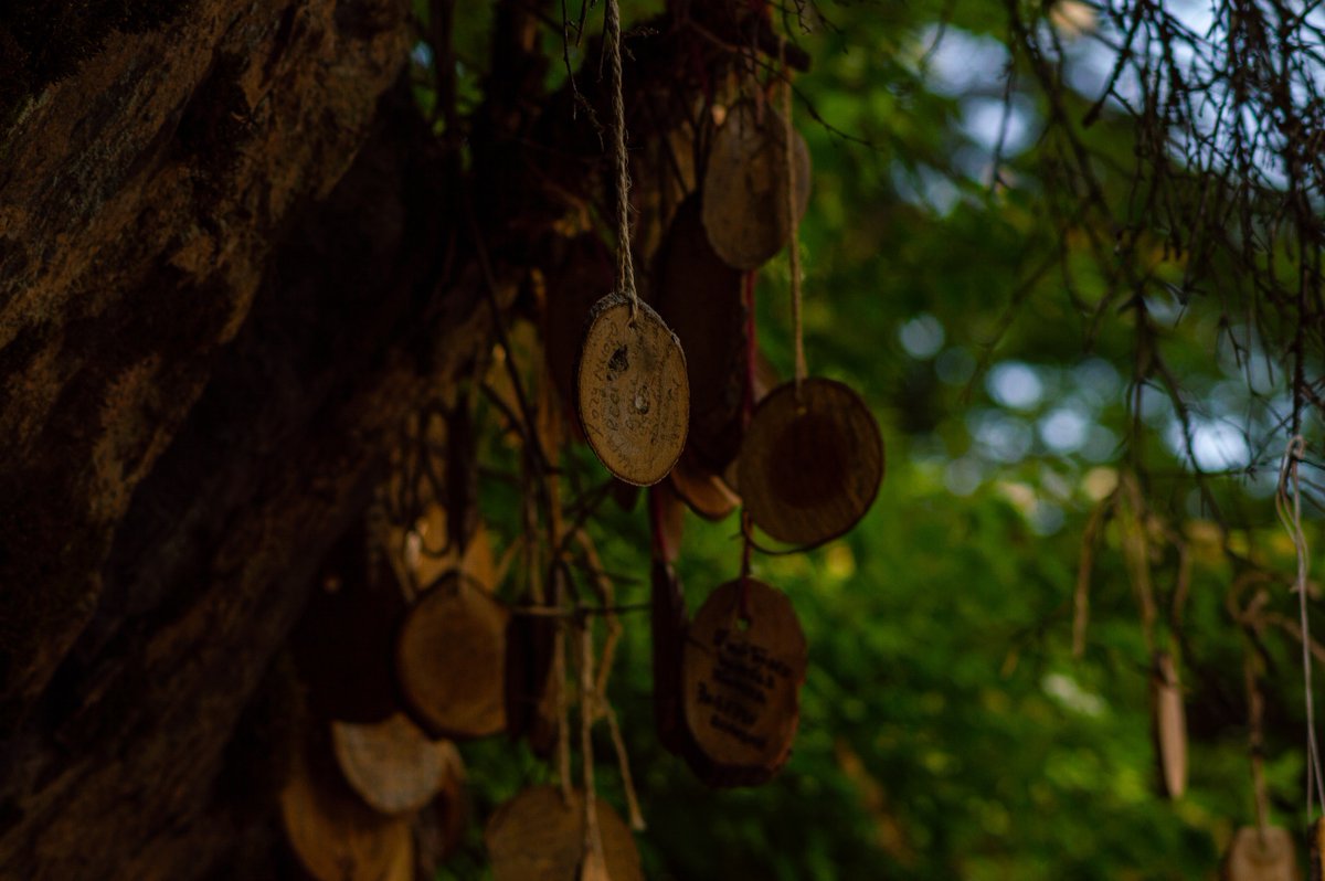 str1ve🦊 (@str1ve21) on Twitter photo 