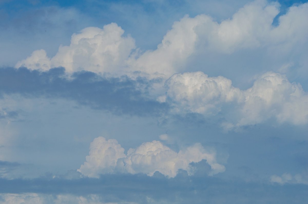 str1ve🦊 (@str1ve21) on Twitter photo 