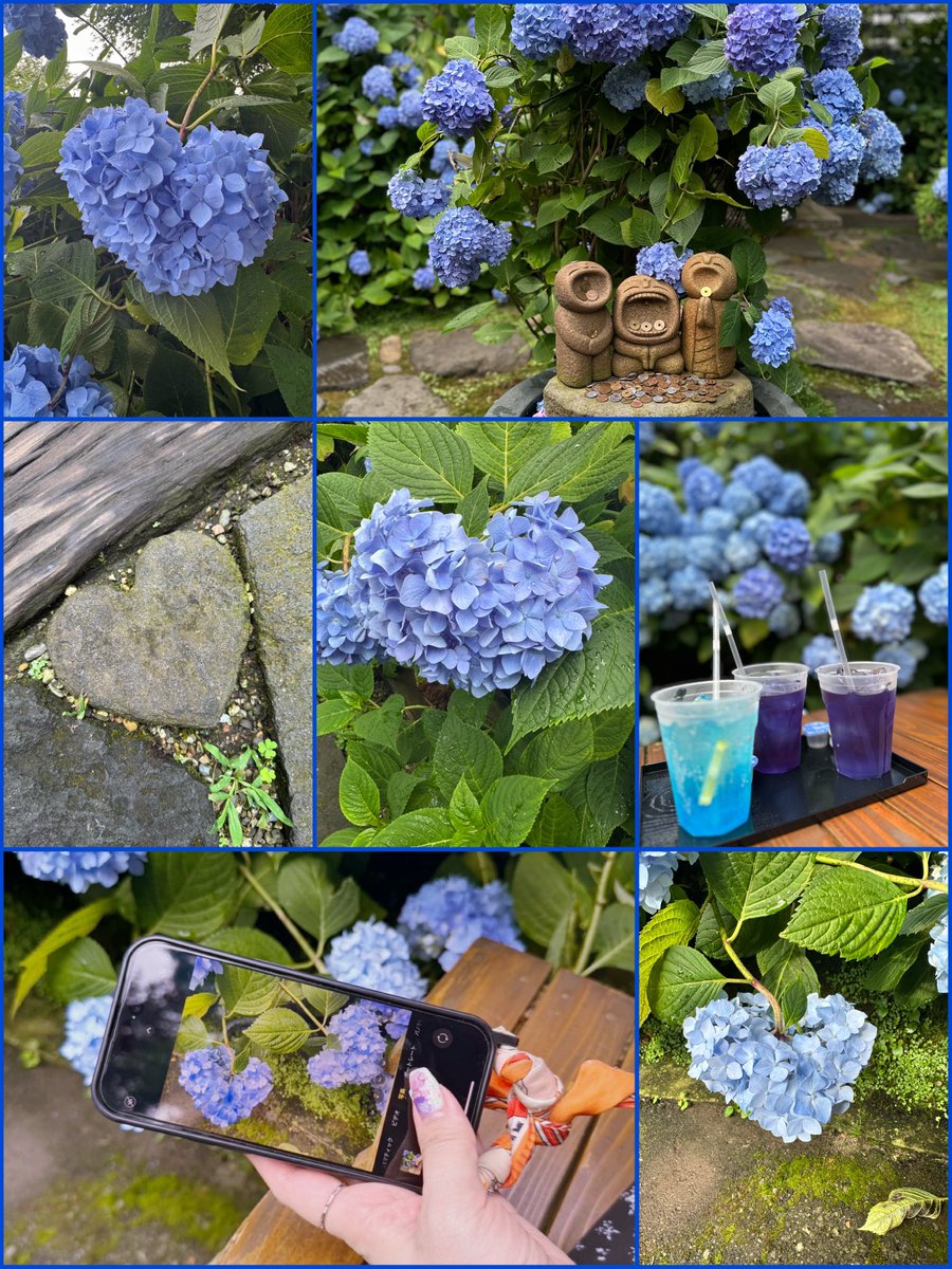 こんばんは、ラウンジさくら🌸です。先日秋田のあじさい寺雲昌寺さんへ行って参りました。あじさいが素晴らしかったです。
皆様にも是非行ってみて欲しい場所。心のエネルギーもチャージしてきて、本日もさくらは元気に営業いたしてます🍺
#あじさい寺
#雲昌寺