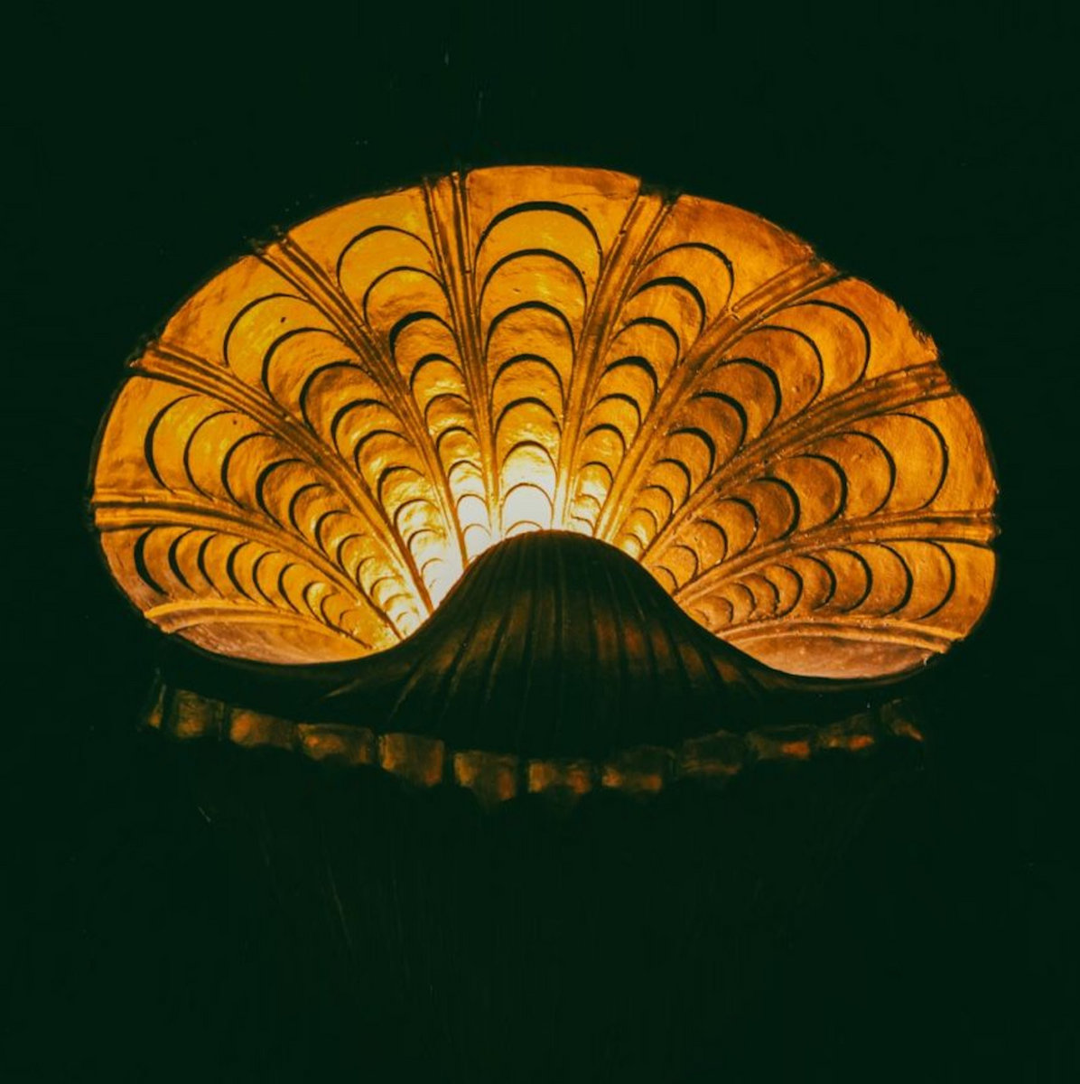 release info (7/4)
<a href="/GlennDonaldson/">The Reds, Pinks & Purples</a> theredspinksandpurples.bandcamp.com/album/the-past…
<a href="/ourbandlakes/">Lakes</a> ourbandlakes.bandcamp.com/album/slow-fade