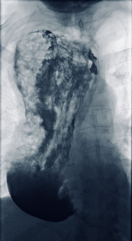 Keith Siau tweet media