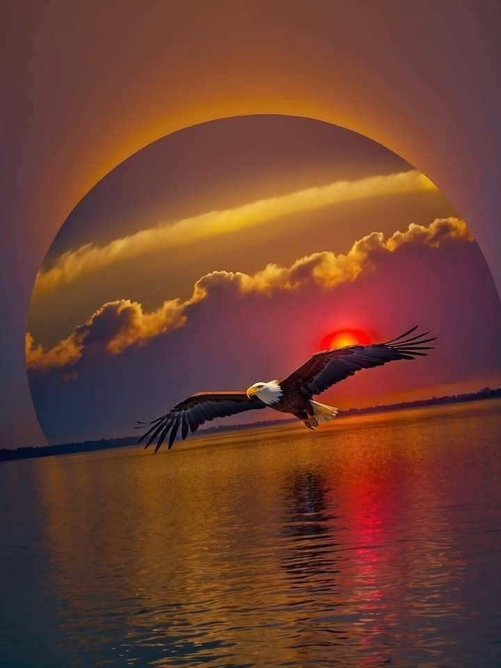 Nature Beauty (@naturebeautyh) on Twitter photo 