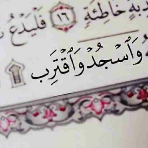 أعظم طريقه ليرتاح بها قلبك ،،
أن تجعل شعورك يحكى لله
بــ سجده ..🤍