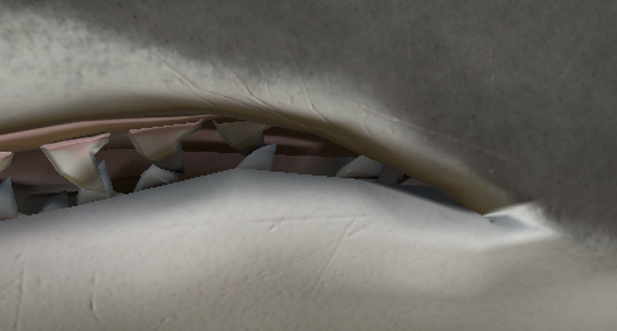 Ecosystem tweet media