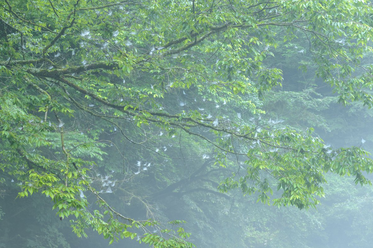 TT__Photo's tweet image. 住処