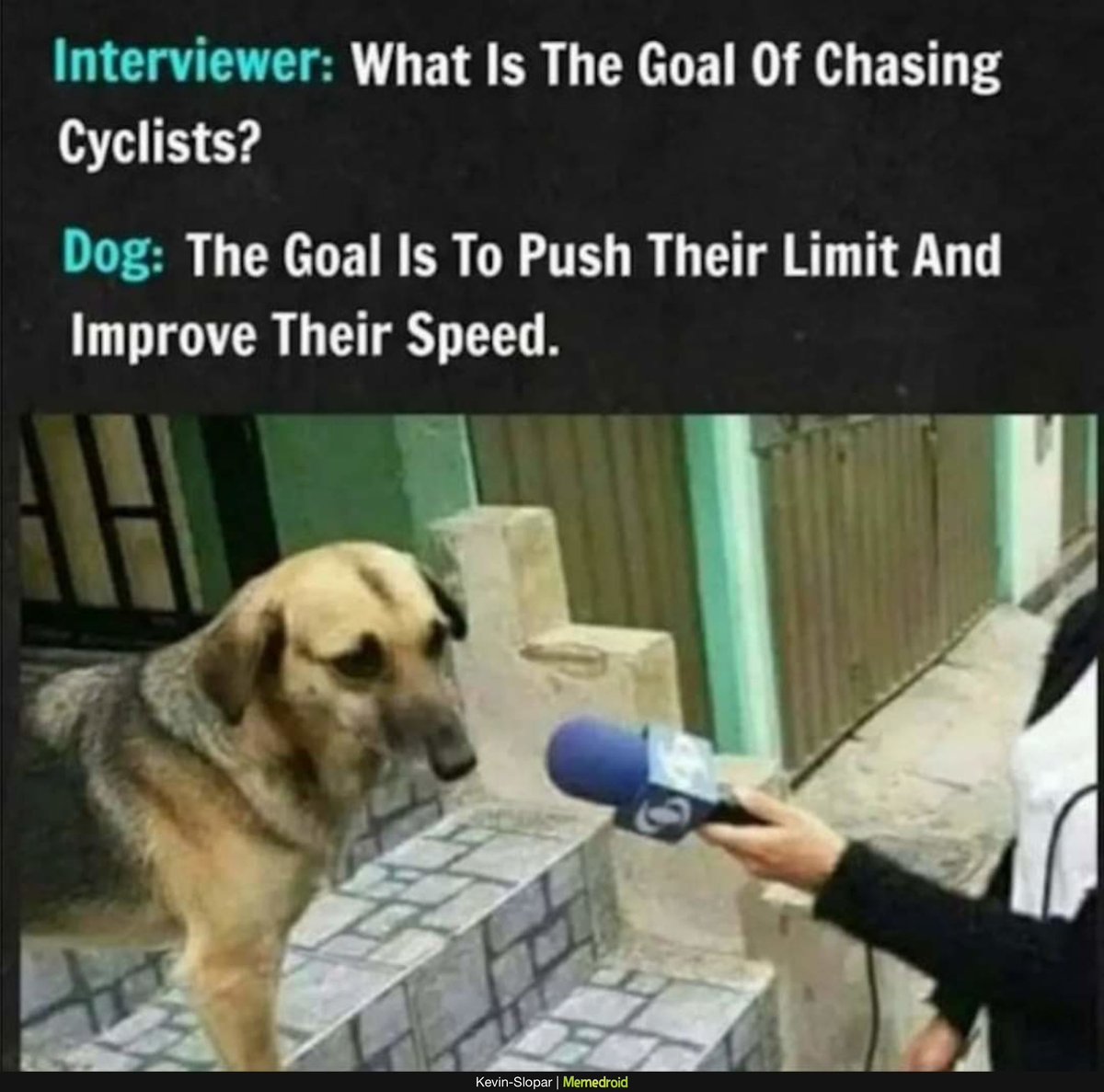 ௱Ɛ௱ƐM (@mememasterguy) on Twitter photo 