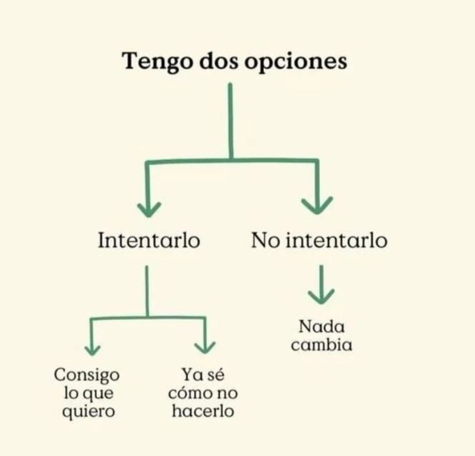honordetigre's tweet photo. 4. https://t.co/QR32X5ykqO