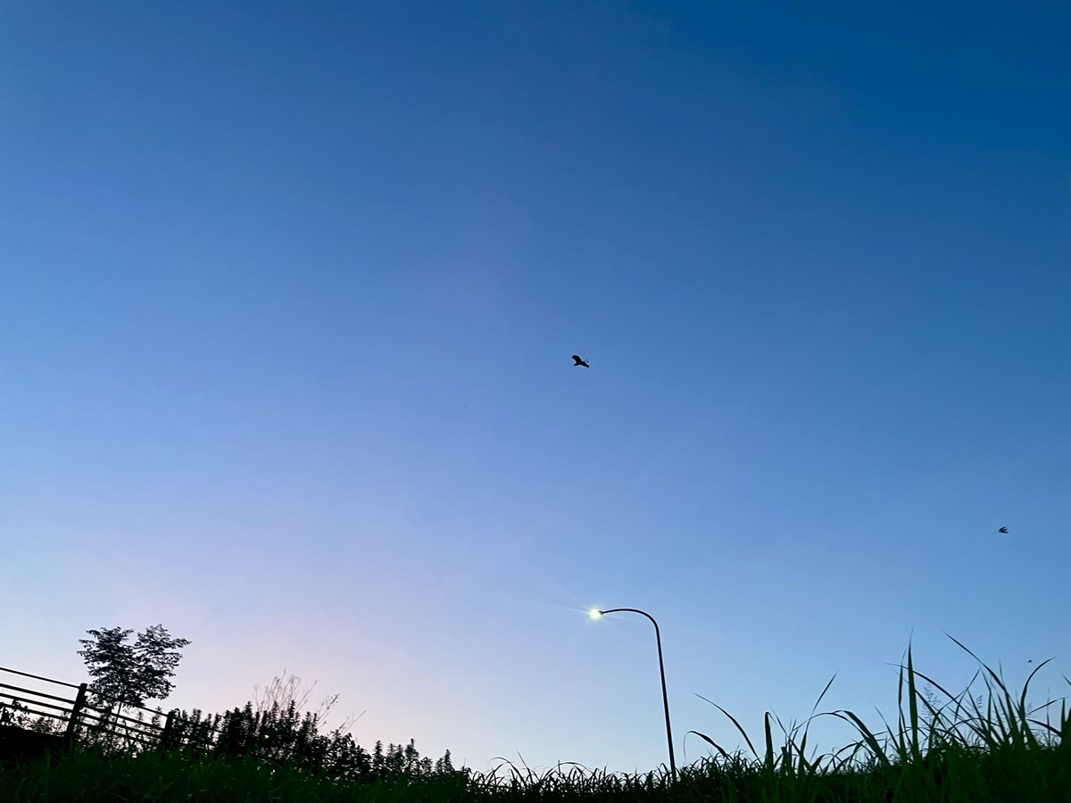 今日も暑い一日だったね…
マジックアワーが美しかった
＃立ち止まって見上げた空