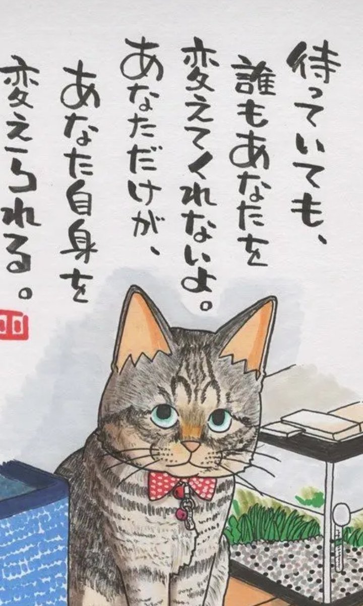 #永ちゃん
#矢沢永吉
#eikichiyazawa
「吐き出してみなよぉ〜🎶
Shake　Shake　Shake
心のままにぃ〜🎶」

お願いしまぁ〜す🙇🙇🙇