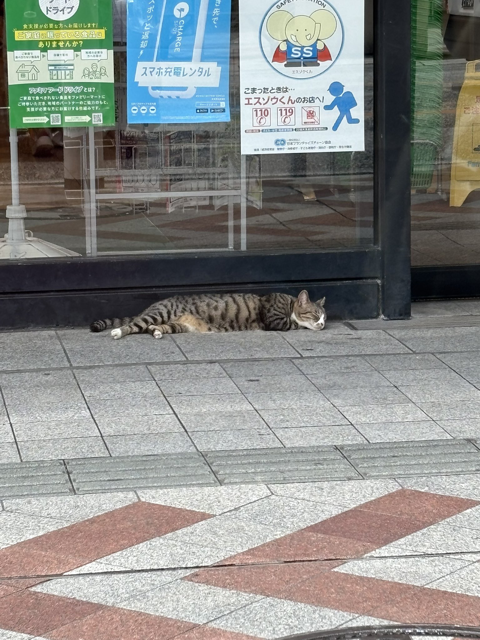 専用maa15 ♡プロフィール必読⁎☻⋆♡さま まあ (@maa21maa) / X