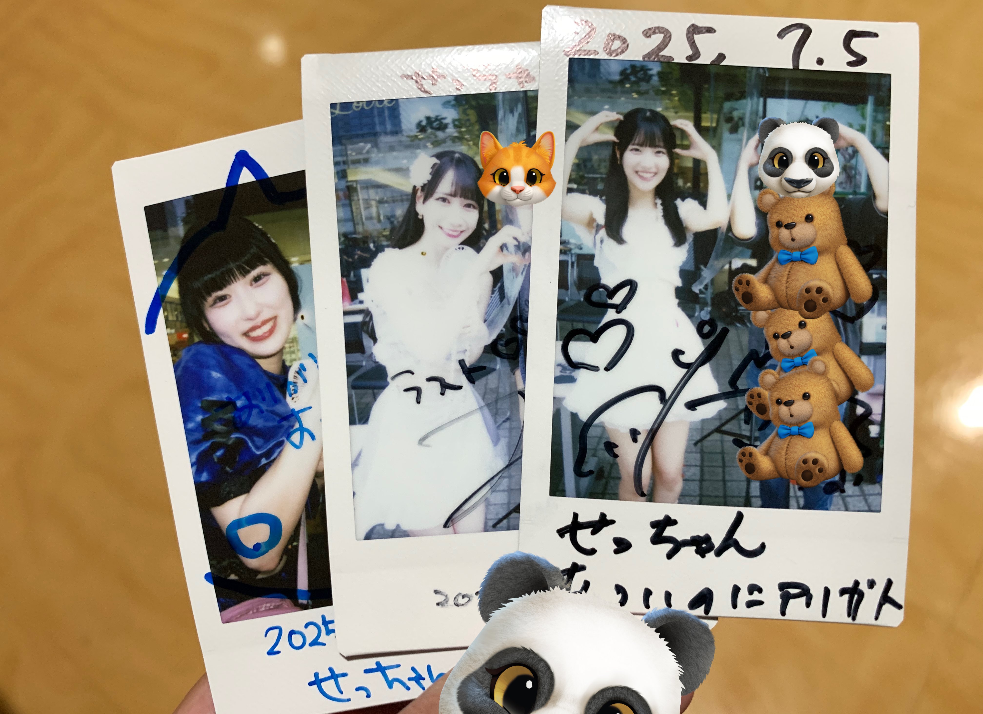 せっちゃん on X: 
