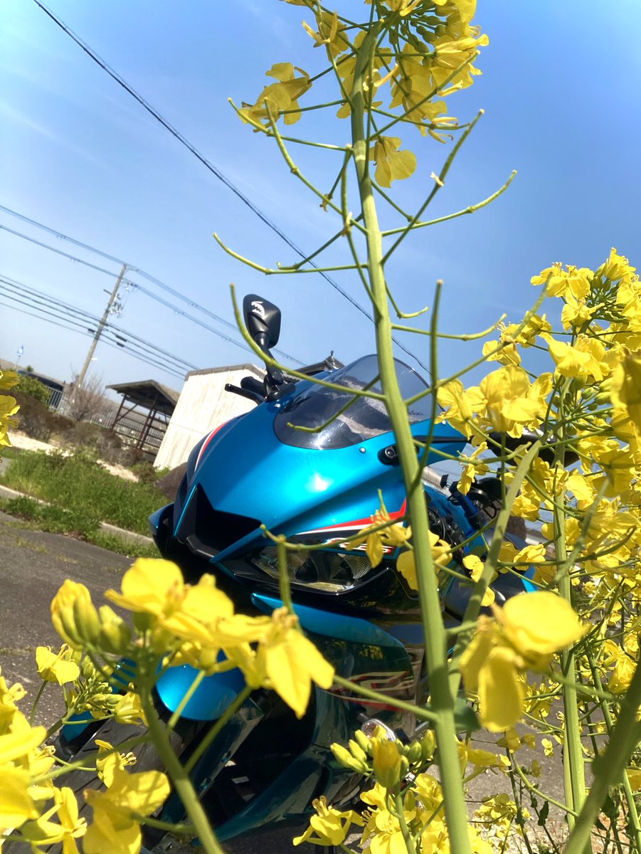 なん tweet media