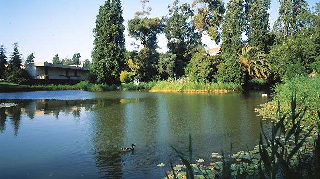 Curious about what’s around the <a href="/ADHOrg/">ADHO</a> #DH2025 venue? Just a short walk away from <a href="/nova_fcsh/">NOVA FCSH</a>, you'll find the beautiful Gulbenkian Gardens that offer a peaceful retreat in the heart of Lisbon, perfect for a midday break or post-conference stroll (specially if it is a hot day!)