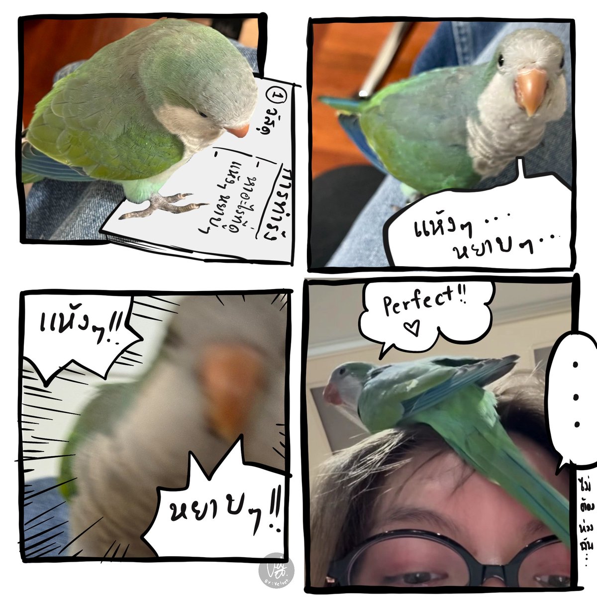 บทเรียนชีวิตของอาบู = รสชาติการเติบโตของออมออม