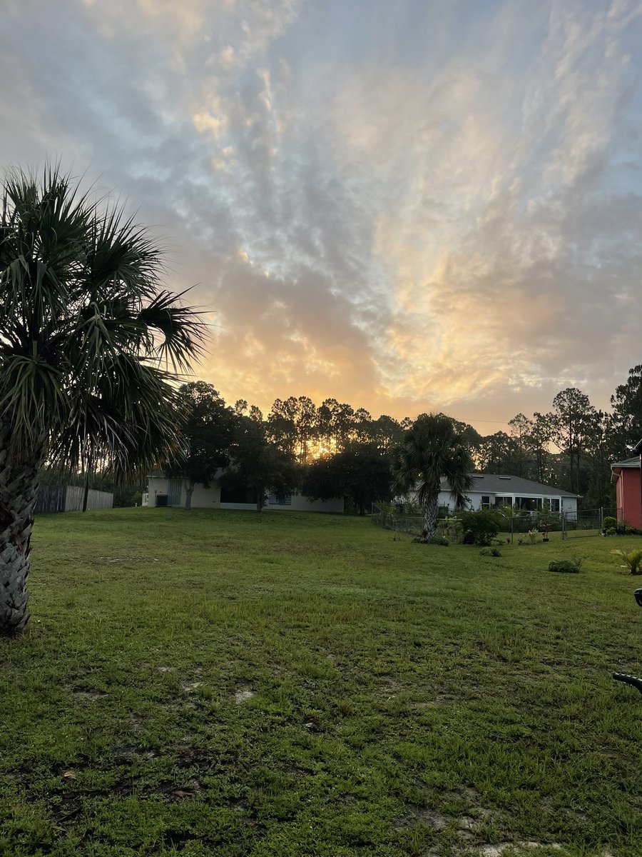 Good morning, America 🇺🇸
While Yara was on Safari the sun was peeking out. Looking good. 😊 👍