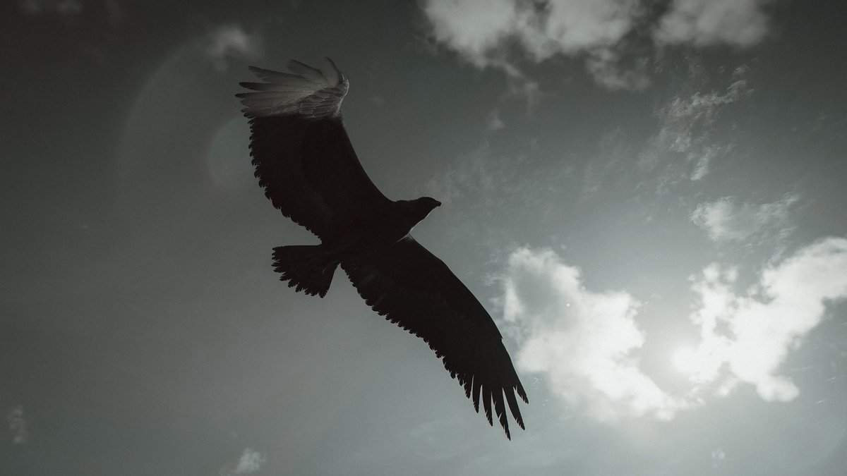 saskiaemmischVP's tweet image. Assassins Creed Shadows
#AssassinsCreedShadows #UbisoftPartner #VPRT #ACFirstCivVP